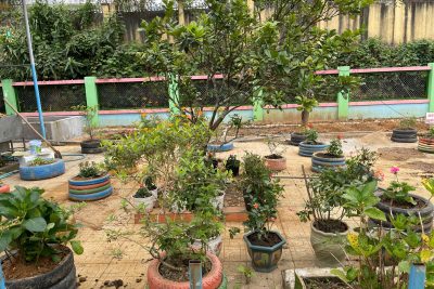 Phụ huynh tham gia cải tạo môi trường xanh – sạch – đẹp